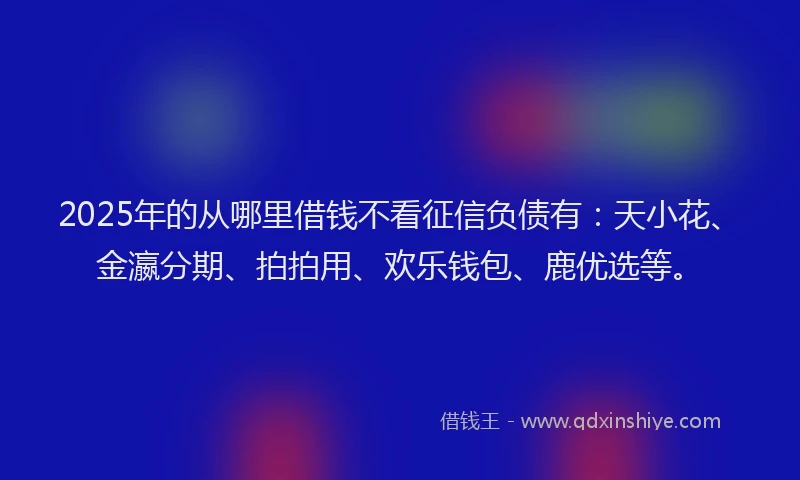 2025年的从哪里借钱不看征信负债有：天小花、金瀛分期、拍拍用、欢乐钱包、鹿优选等。
