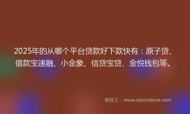 2025年的从哪个平台贷款好下款快有：原子贷、借款宝速融、小金象、信贷宝贷、金悦钱包等。