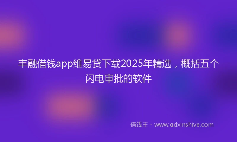 丰融借钱app维易贷下载2025年精选，概括五个闪电审批的软件