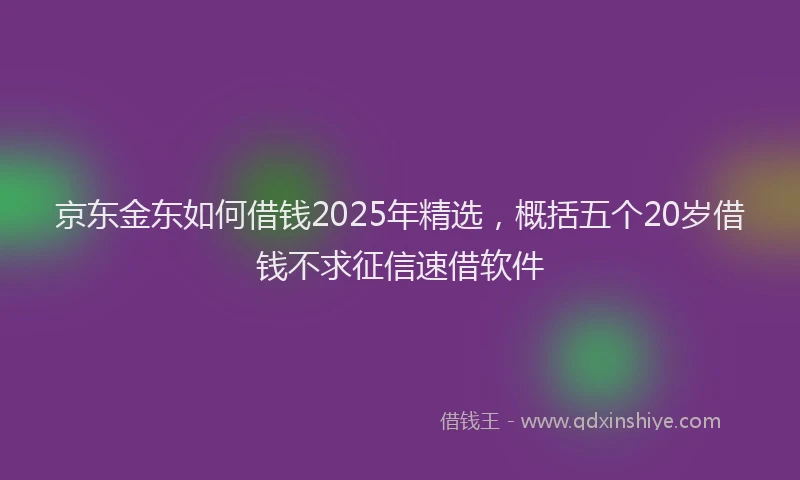 京东金东如何借钱2025年精选，概括五个20岁借钱不求征信速借软件