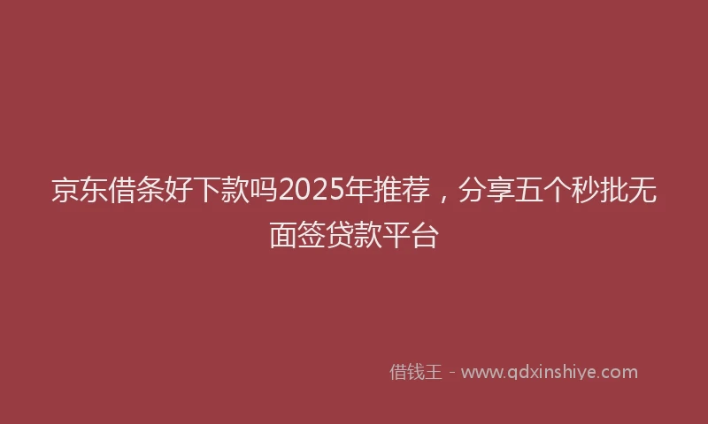 京东借条好下款吗2025年推荐，分享五个秒批无面签贷款平台