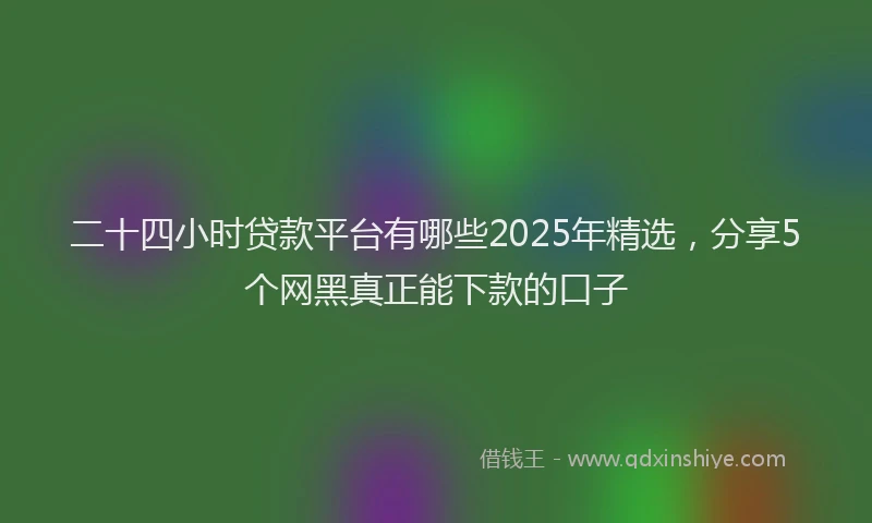 二十四小时贷款平台有哪些2025年精选，分享5个网黑真正能下款的口子