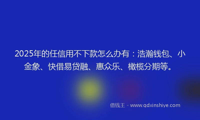 2025年的任信用不下款怎么办有：浩瀚钱包、小金象、快借易贷融、惠众乐、橄榄分期等。