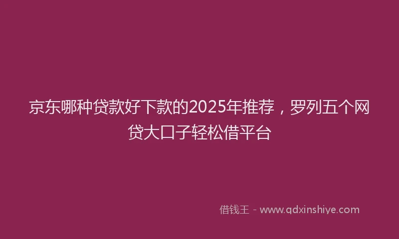 京东哪种贷款好下款的2025年推荐，罗列五个网贷大口子轻松借平台