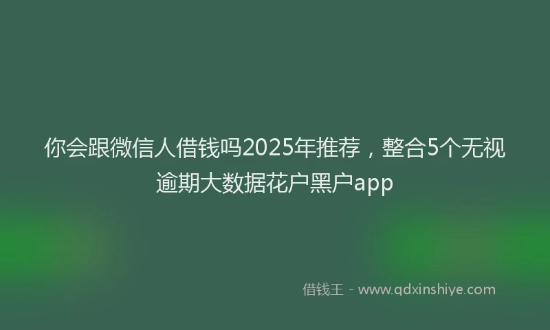 你会跟微信人借钱吗2025年推荐，整合5个无视逾期大数据花户黑户app