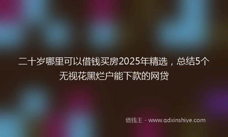二十岁哪里可以借钱买房2025年精选，总结5个无视花黑烂户能下款的网贷