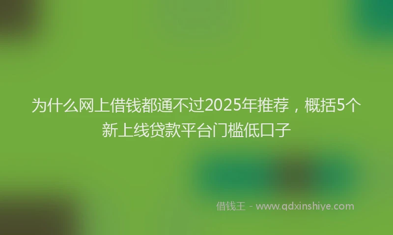为什么网上借钱都通不过2025年推荐，概括5个新上线贷款平台门槛低口子