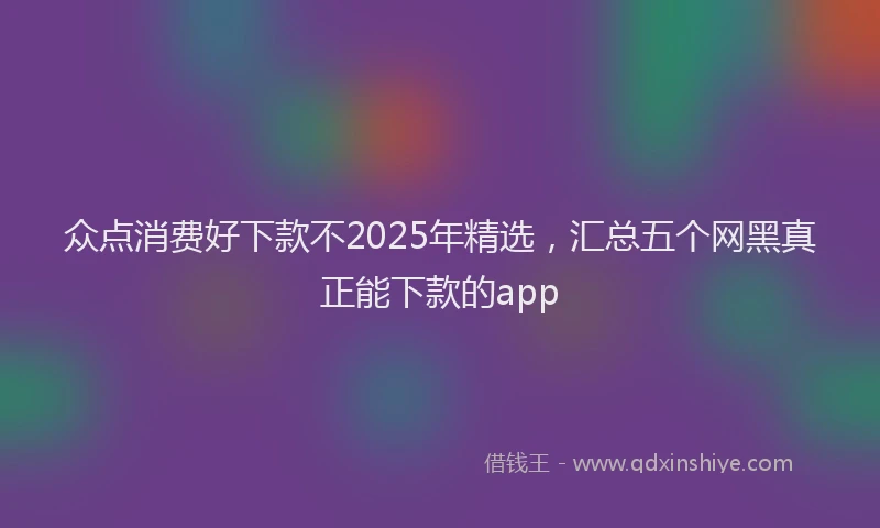 众点消费好下款不2025年精选,汇总五个网黑真正能下款的app