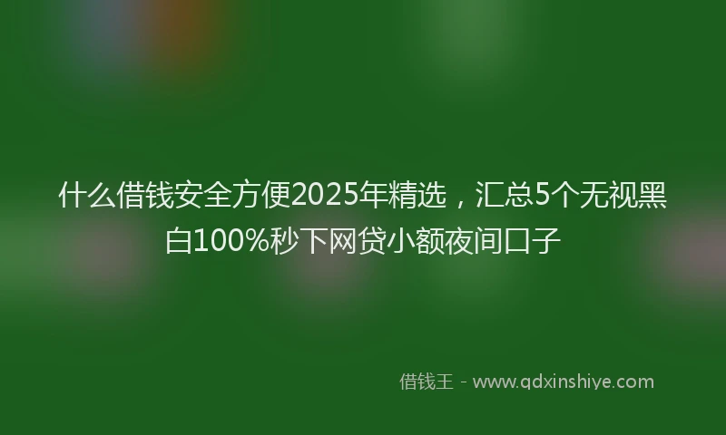 什么借钱安全方便2025年精选，汇总5个无视黑白100%秒下网贷小额夜间口子