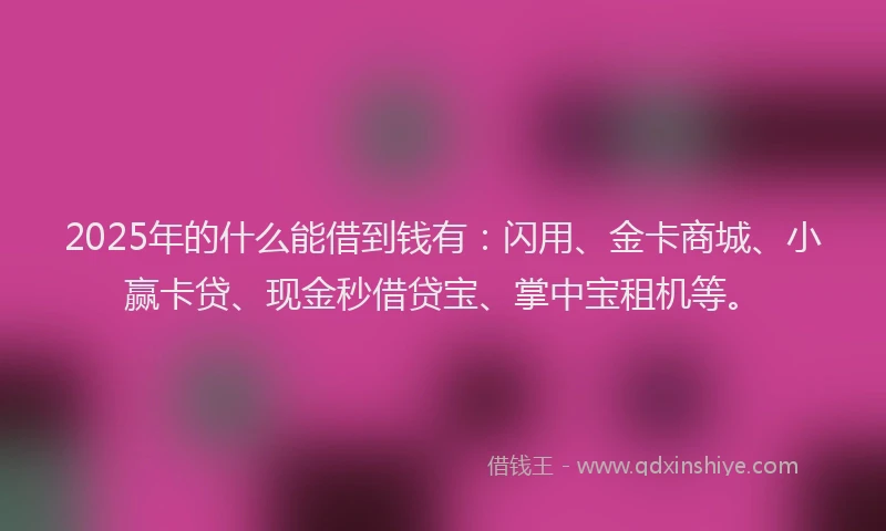 2025年的什么能借到钱有：闪用、金卡商城、小赢卡贷、现金秒借贷宝、掌中宝租机等。