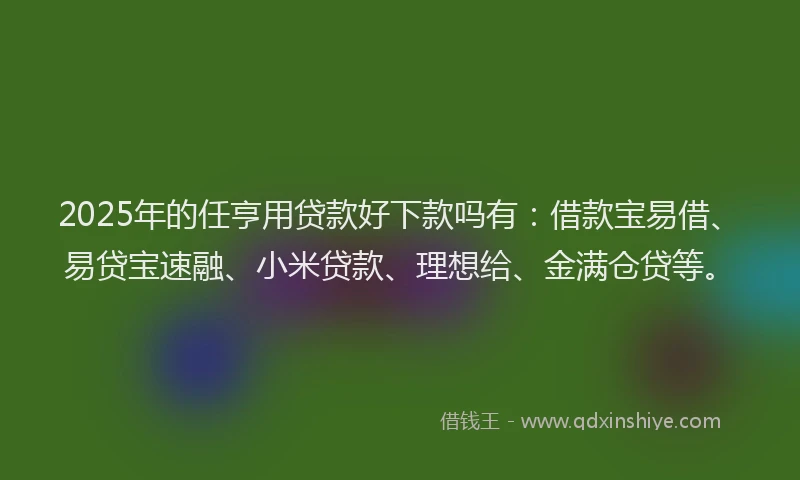 2025年的任亨用贷款好下款吗有：借款宝易借、易贷宝速融、小米贷款、理想给、金满仓贷等。