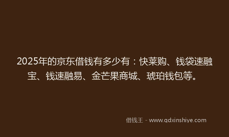 2025年的京东借钱有多少有：快莱购、钱袋速融宝、钱速融易、金芒果商城、琥珀钱包等。