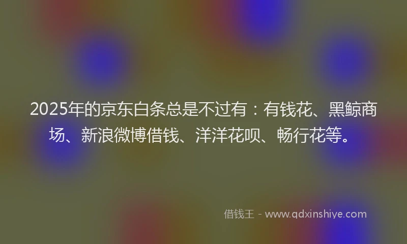 2025年的京东白条总是不过有:有钱花、黑鲸商场、新浪微博借钱、洋洋花呗、畅行花等。