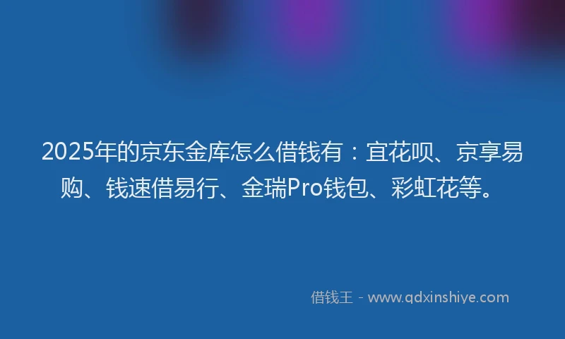 2025年的京东金库怎么借钱有：宜花呗、京享易购、钱速借易行、金瑞Pro钱包、彩虹花等。