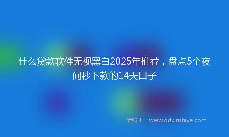 什么贷款软件无视黑白2025年推荐，盘点5个夜间秒下款的14天口子