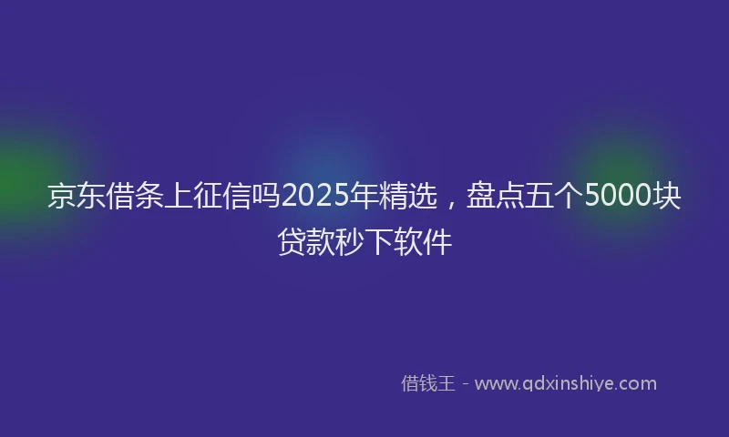 京东借条上征信吗2025年精选，盘点五个5000块贷款秒下软件