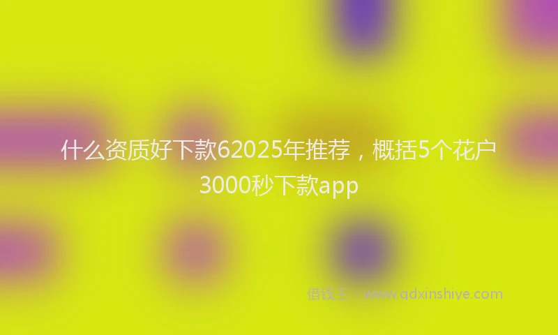 什么资质好下款62025年推荐，概括5个花户3000秒下款app