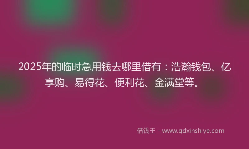 2025年的临时急用钱去哪里借有：浩瀚钱包、亿享购、易得花、便利花、金满堂等。