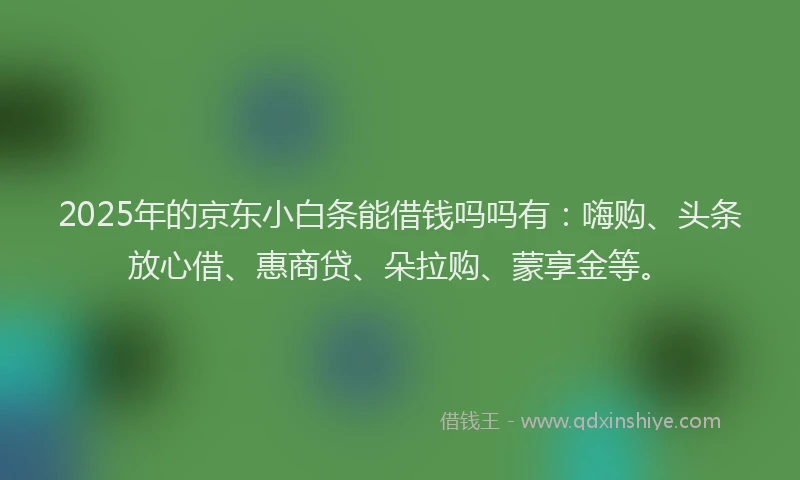 2025年的京东小白条能借钱吗吗有：嗨购、头条放心借、惠商贷、朵拉购、蒙享金等。