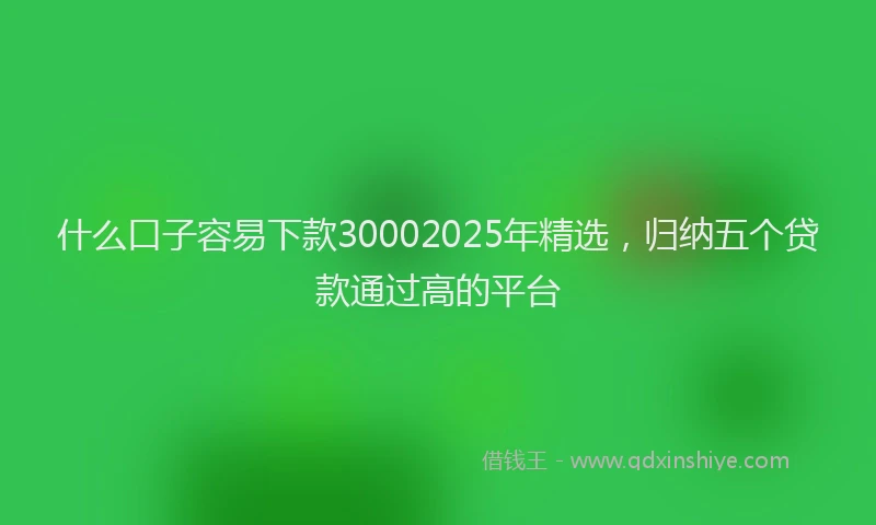 什么口子容易下款30002025年精选，归纳五个贷款通过高的平台