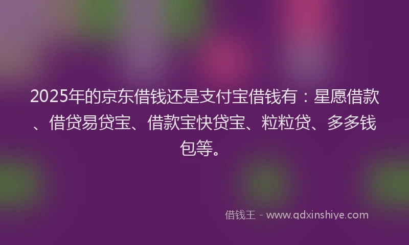 2025年的京东借钱还是支付宝借钱有：星愿借款、借贷易贷宝、借款宝快贷宝、粒粒贷、多多钱包等。