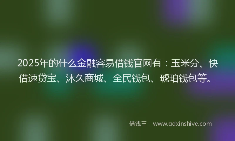 2025年的什么金融容易借钱官网有：玉米分、快借速贷宝、沐久商城、全民钱包、琥珀钱包等。