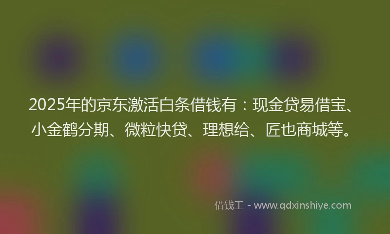 2025年的京东激活白条借钱有：现金贷易借宝、小金鹤分期、微粒快贷、理想给、匠也商城等。