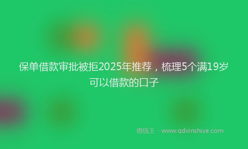 保单借款审批被拒2025年推荐，梳理5个满19岁可以借款的口子