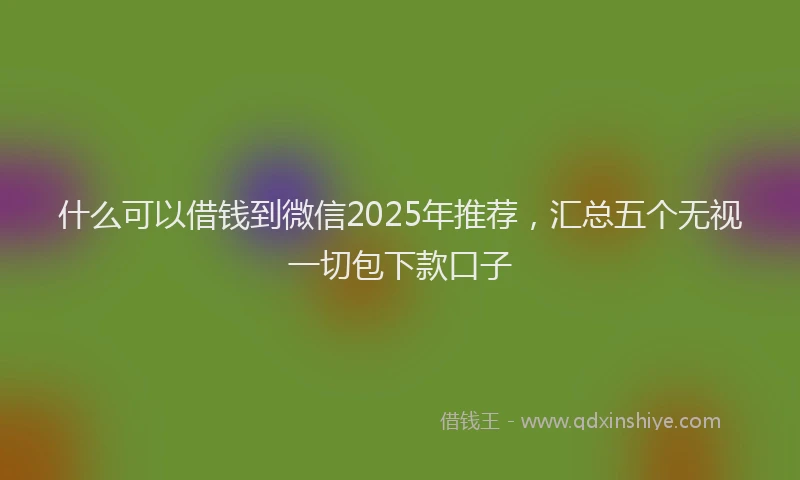 什么可以借钱到微信2025年推荐,汇总五个无视一切包下款口子