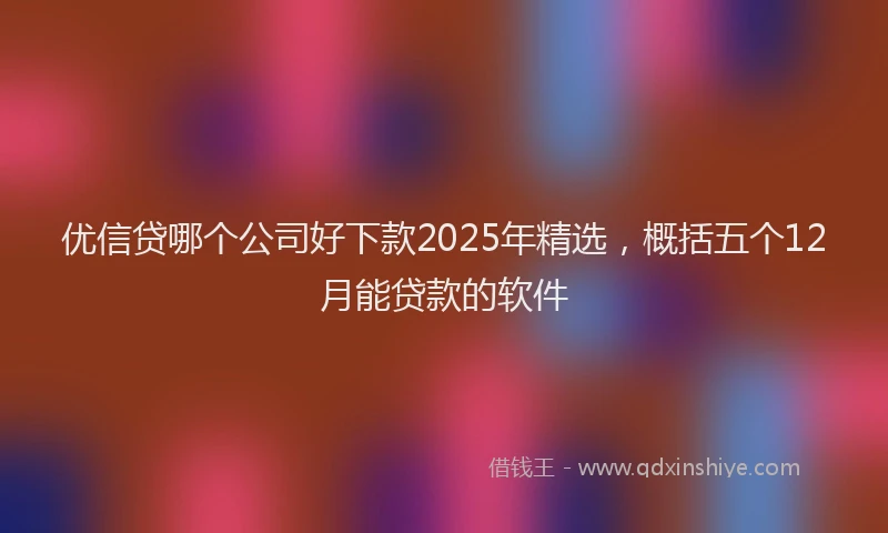 优信贷哪个公司好下款2025年精选，概括五个12月能贷款的软件