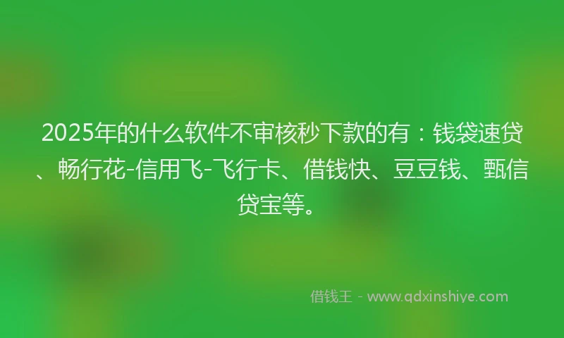 2025年的什么软件不审核秒下款的有：钱袋速贷、畅行花-信用飞-飞行卡、借钱快、豆豆钱、甄信贷宝等。