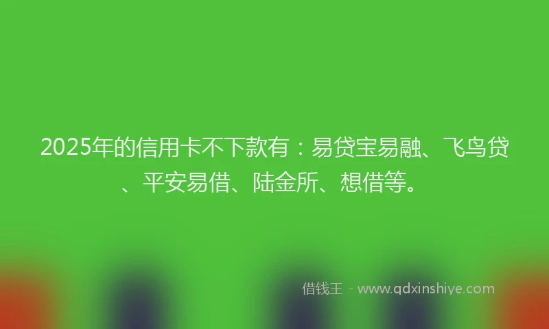 2025年的信用卡不下款有：易贷宝易融、飞鸟贷、平安易借、陆金所、想借等。