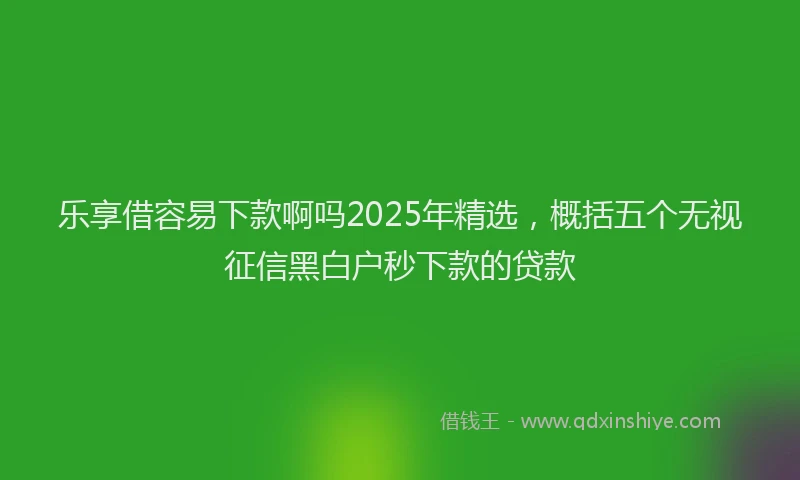 乐享借容易下款啊吗2025年精选,概括五个无视征信黑白户秒下款的贷款