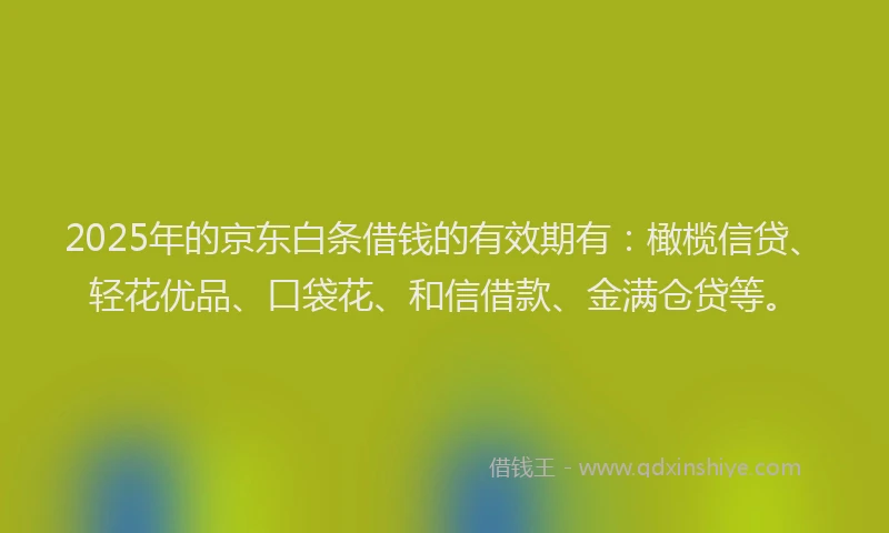 2025年的京东白条借钱的有效期有：橄榄信贷、轻花优品、口袋花、和信借款、金满仓贷等。