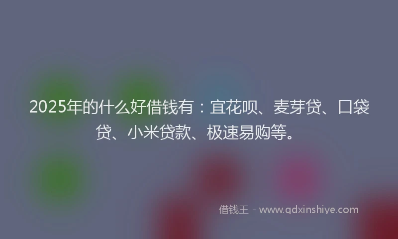 2025年的什么好借钱有：宜花呗、麦芽贷、口袋贷、小米贷款、极速易购等。