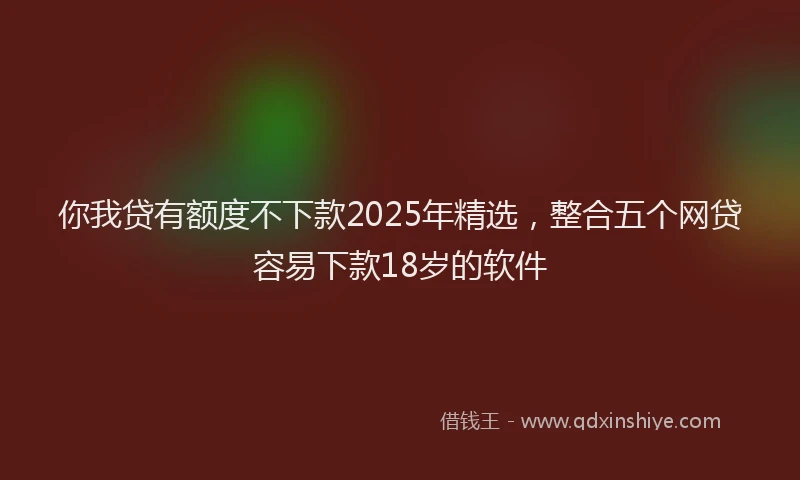 你我贷有额度不下款2025年精选，整合五个网贷容易下款18岁的软件