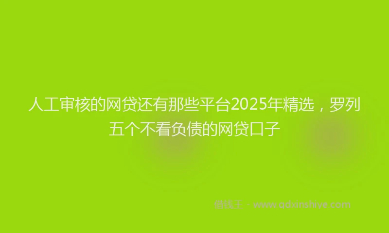 人工审核的网贷还有那些平台2025年精选,罗列五个不看负债的网贷口子