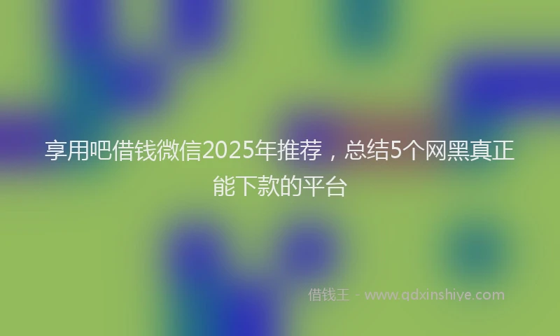 享用吧借钱微信2025年推荐，总结5个网黑真正能下款的平台