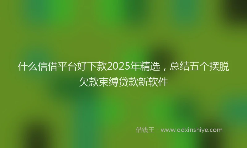 什么信借平台好下款2025年精选，总结五个摆脱欠款束缚贷款新软件