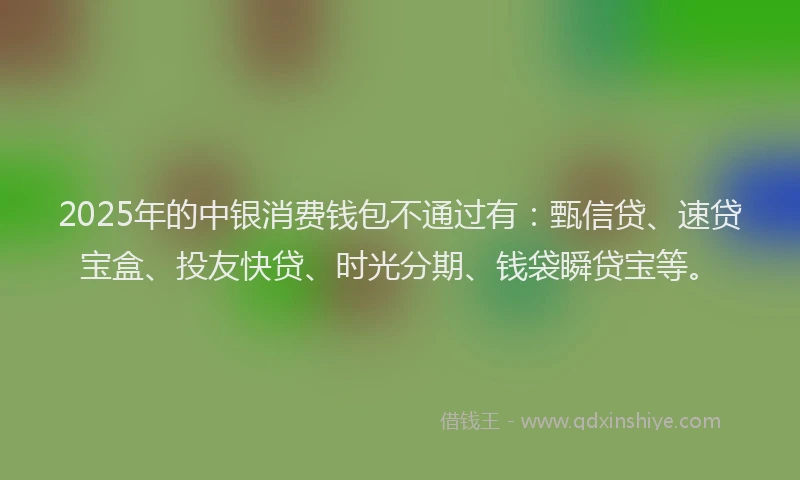 2025年的中银消费钱包不通过有：甄信贷、速贷宝盒、投友快贷、时光分期、钱袋瞬贷宝等。