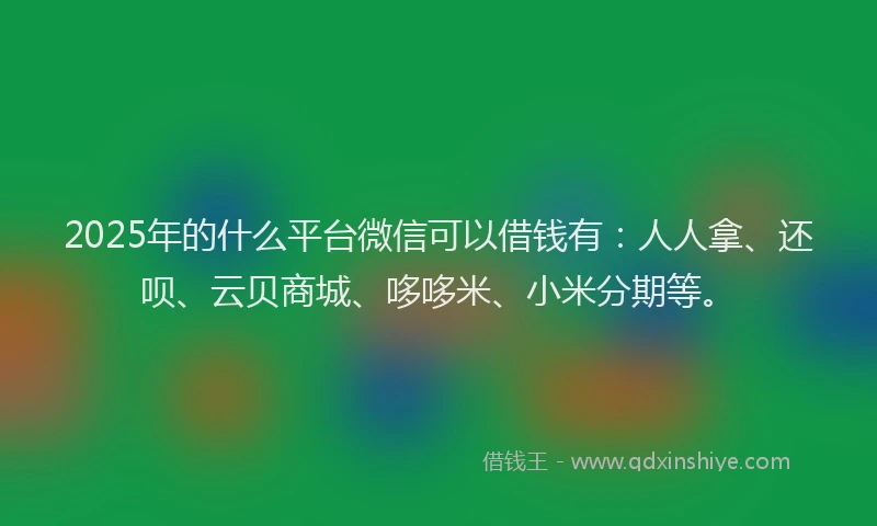 2025年的什么平台微信可以借钱有：人人拿、还呗、云贝商城、哆哆米、小米分期等。