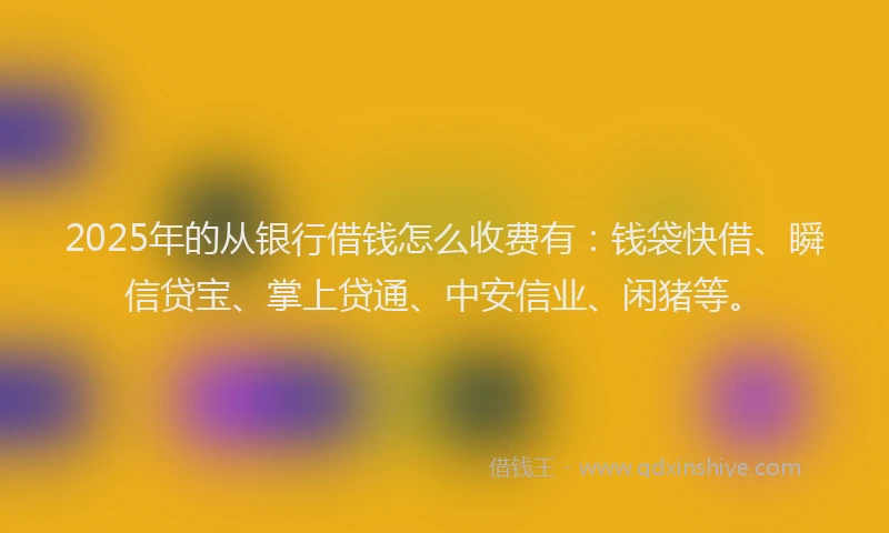 2025年的从银行借钱怎么收费有：钱袋快借、瞬信贷宝、掌上贷通、中安信业、闲猪等。