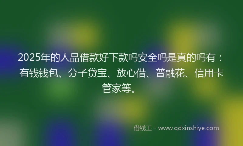 2025年的人品借款好下款吗安全吗是真的吗有：有钱钱包、分子贷宝、放心借、普融花、信用卡管家等。