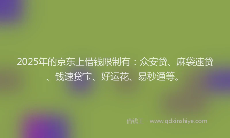 2025年的京东上借钱限制有：众安贷、麻袋速贷、钱速贷宝、好运花、易秒通等。