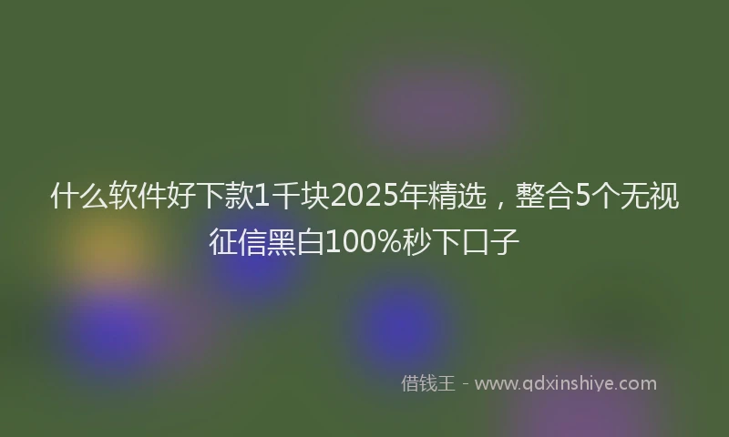 什么软件好下款1千块2025年精选，整合5个无视征信黑白100%秒下口子