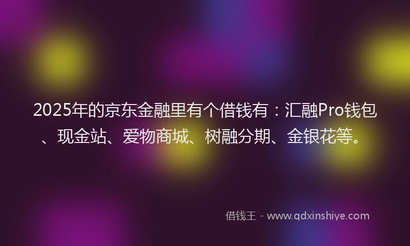 2025年的京东金融里有个借钱有：汇融Pro钱包、现金站、爱物商城、树融分期、金银花等。