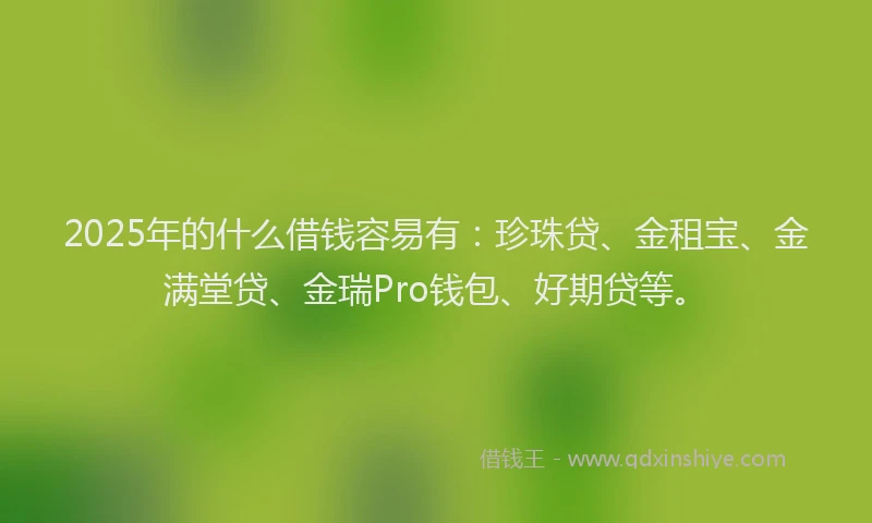 2025年的什么借钱容易有：珍珠贷、金租宝、金满堂贷、金瑞Pro钱包、好期贷等。