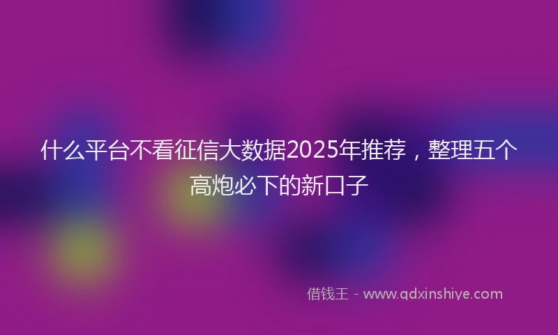 什么平台不看征信大数据2025年推荐，整理五个高炮必下的新口子
