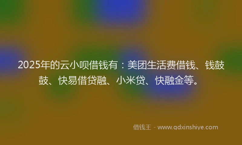 2025年的云小呗借钱有：美团生活费借钱、钱鼓鼓、快易借贷融、小米贷、快融金等。