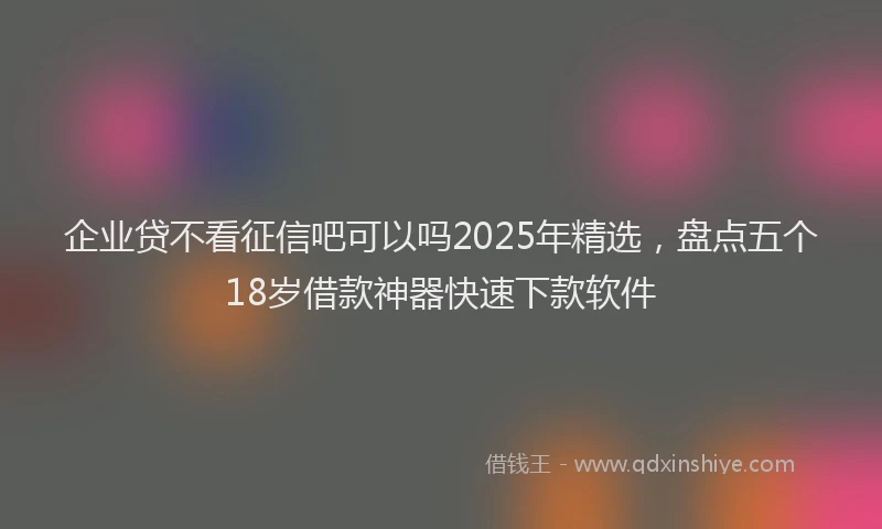企业贷不看征信吧可以吗2025年精选，盘点五个18岁借款神器快速下款软件